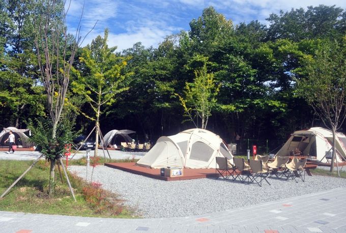 경북교육청, 폐교 활용한 자연 속 힐링 공간, 교육가족과 도민에게 개방!