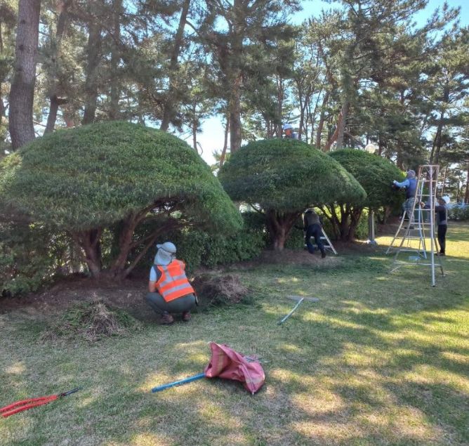 호국보훈의 달 맞이 현충시설 환경정비