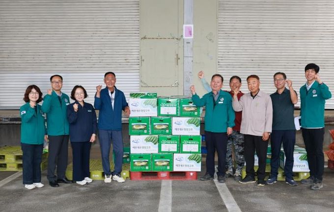 개포풋고추 첫출하(농업기술센터)