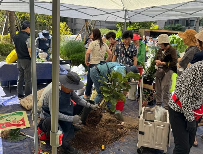 부산진구 2025년 반려식물 분갈이 지원사업