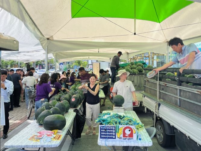 ‘한농연과 함께하는 수박 직거래장터’ 운영