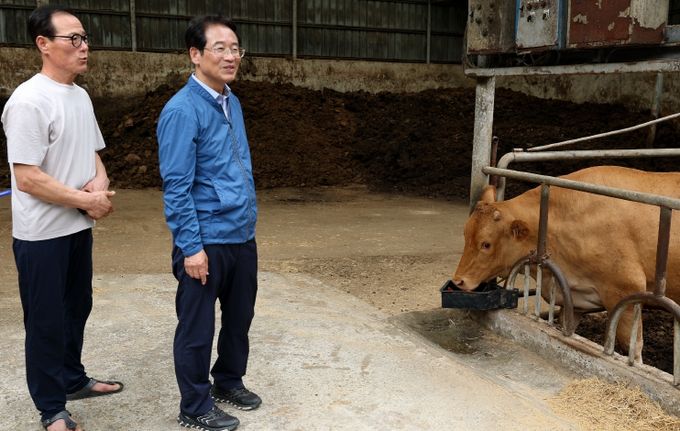 강진원 군수가 여름철 폭염 피해예방 점검과 축산농가를 격려하고 있다.