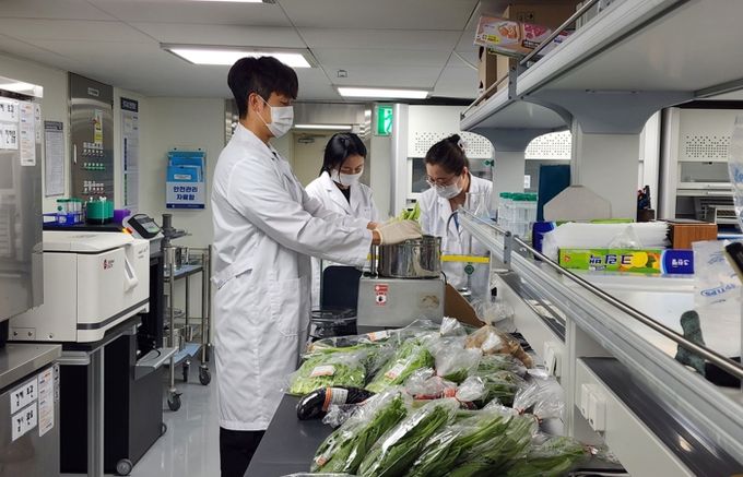 광주광역시, 잔류농약 초과 농산물 1438㎏ 폐기