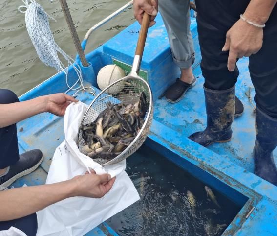 경기도, 한강·임진강 등 접경지역 수산물 긴급 방사능 조사 결과 '불검출'
