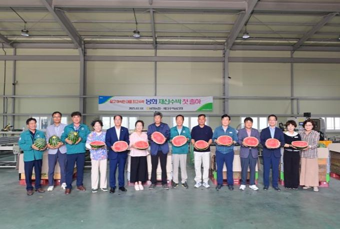 봉화 재산 수박 출하 시작