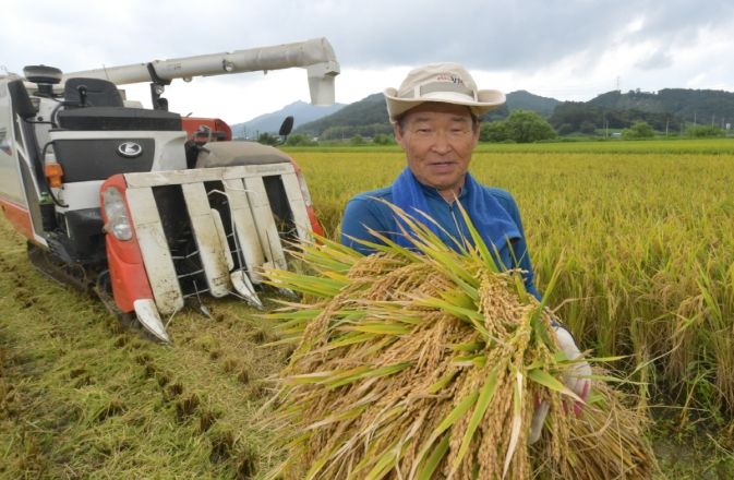고령 영세농 벼 농작업비 지원
