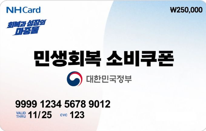 민생회복 소비쿠폰