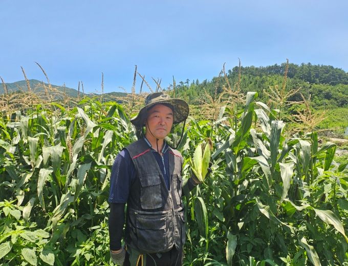친환경농산물 순천 옥수수