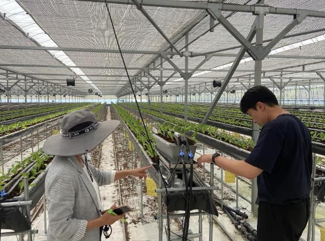 도곡면 상추재배 농가 데이터 수집장비 모니터링 모습.