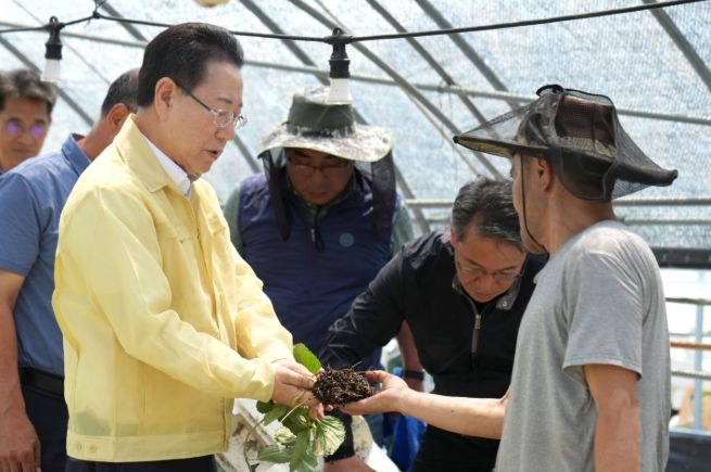 김영록 전라남도지사가 20일 오후 담양 봉산면 딸기육묘 시설하우스 침수 피해현장을 방문, 피해상황을 점검하고 시설 조속 복구 등을 지시하고 있다.