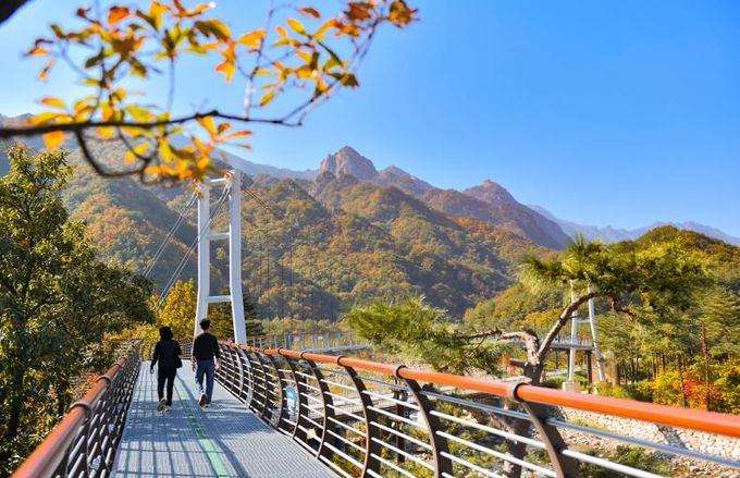 속초시 설악향기로 전경