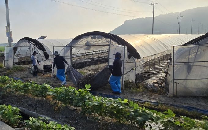 수해 피해 복구 활동