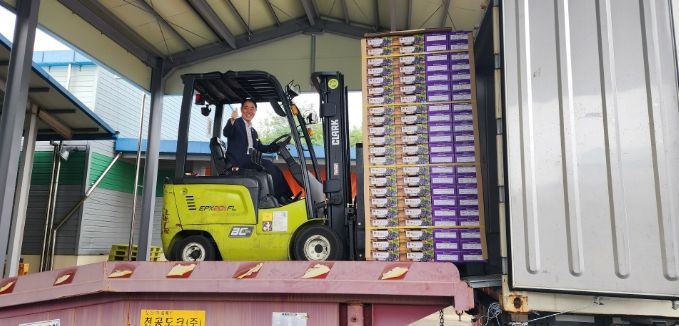 영동포도 미국을 향한 첫 날갯짓