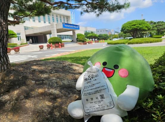 광양시 ‘1리터 소형 종량제봉투’, 2025년 민원제도 및 민원서비스 개선 우수사례 선정