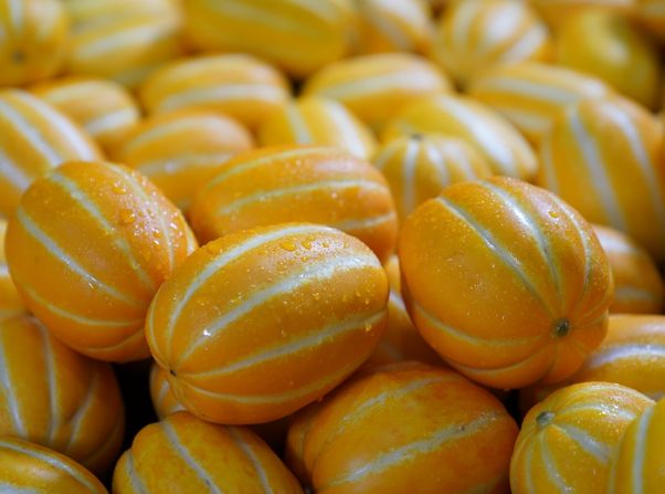 대한민국 참외산업의 중심, 성주군 3년 연속 6천억원 돌파