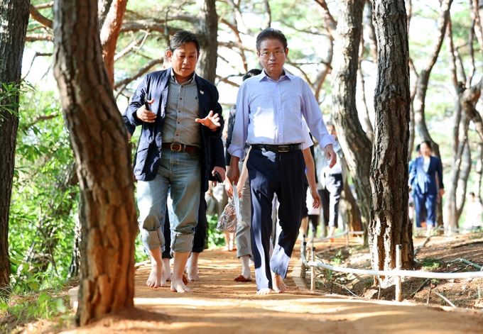 경북도, 천년숲 황톳길 새단장