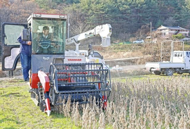 이승화 산청군수, 논콩 재배단지 현장 점검