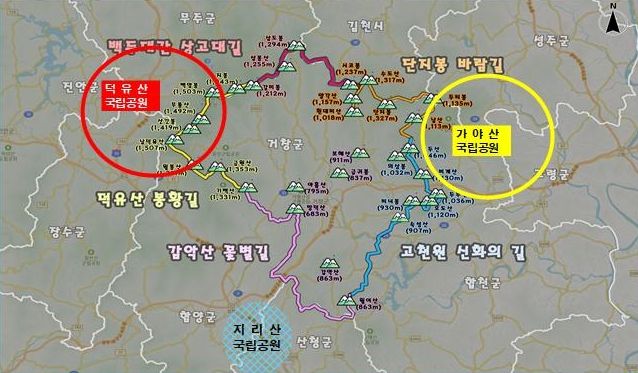 거창군, 산림으로 여는 미래, 관광‧기후‧경제 세 마리 토끼 잡는다