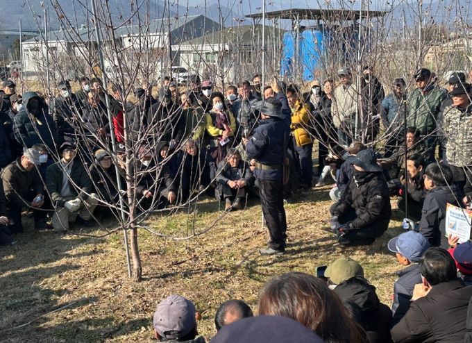 문경시, 일본 사과 전문가 초청 기술교육