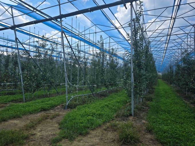 노지 스마트 기술 경북 확산 선도