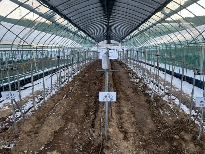 고품질 구기자 생산 ‘겨울철 시설관리 중요’