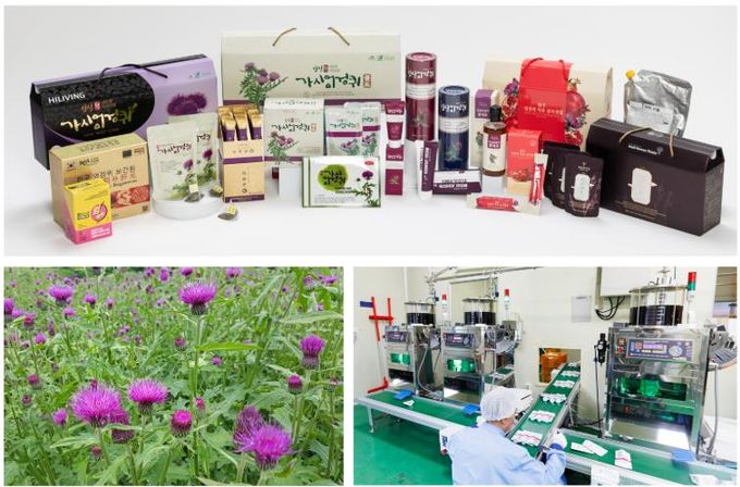 임실군, 간 건강 엉겅퀴 K-기능성식품 고부가가치 적극 육성