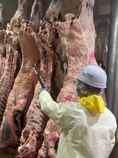 설 대비 축산물 안전관리 강화