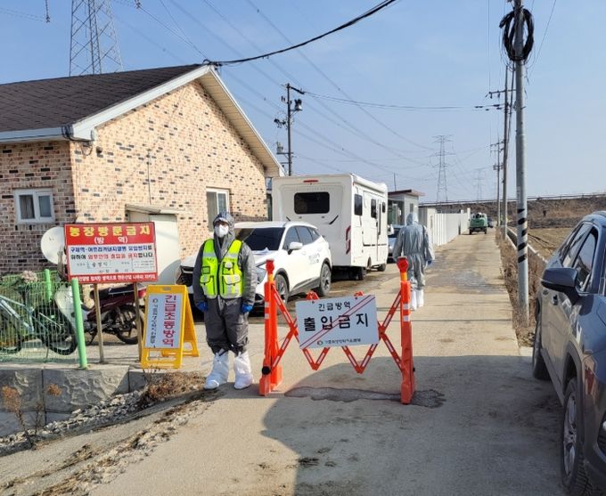 정읍시, 아프리카돼지열병 확진