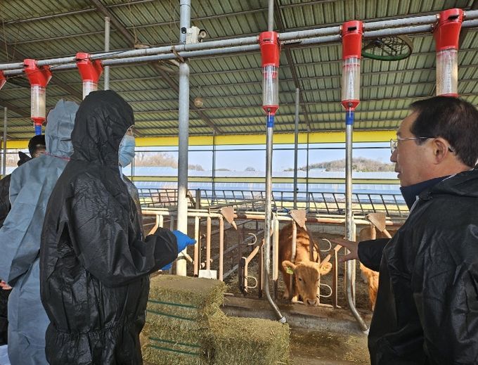 상반기 구제역백신 일제접종 독려